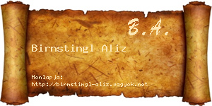 Birnstingl Aliz névjegykártya